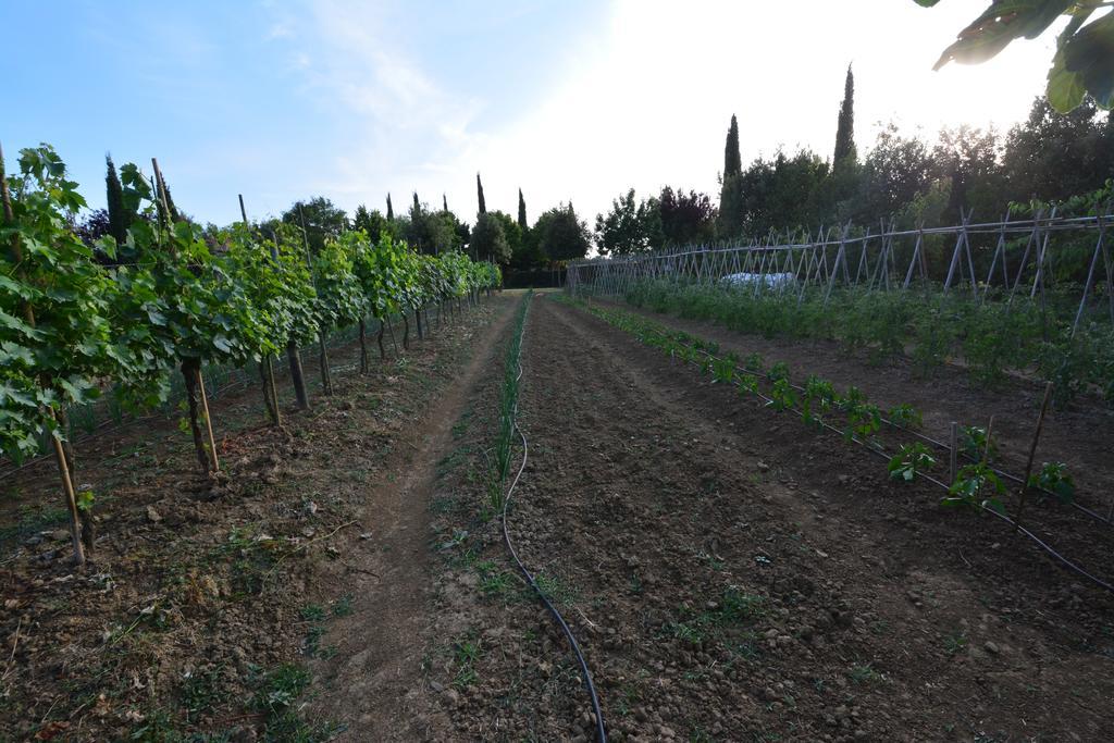 Agriturismo Dolce Verde Castiglione del Lago Εξωτερικό φωτογραφία