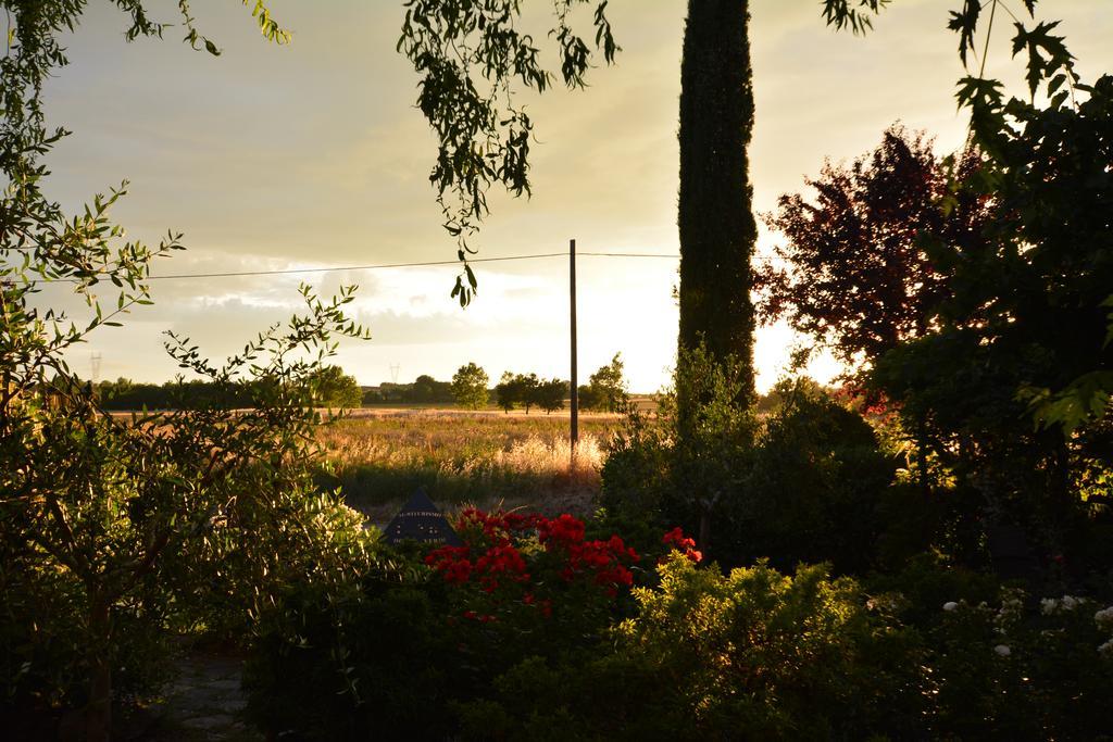 Agriturismo Dolce Verde Castiglione del Lago Εξωτερικό φωτογραφία