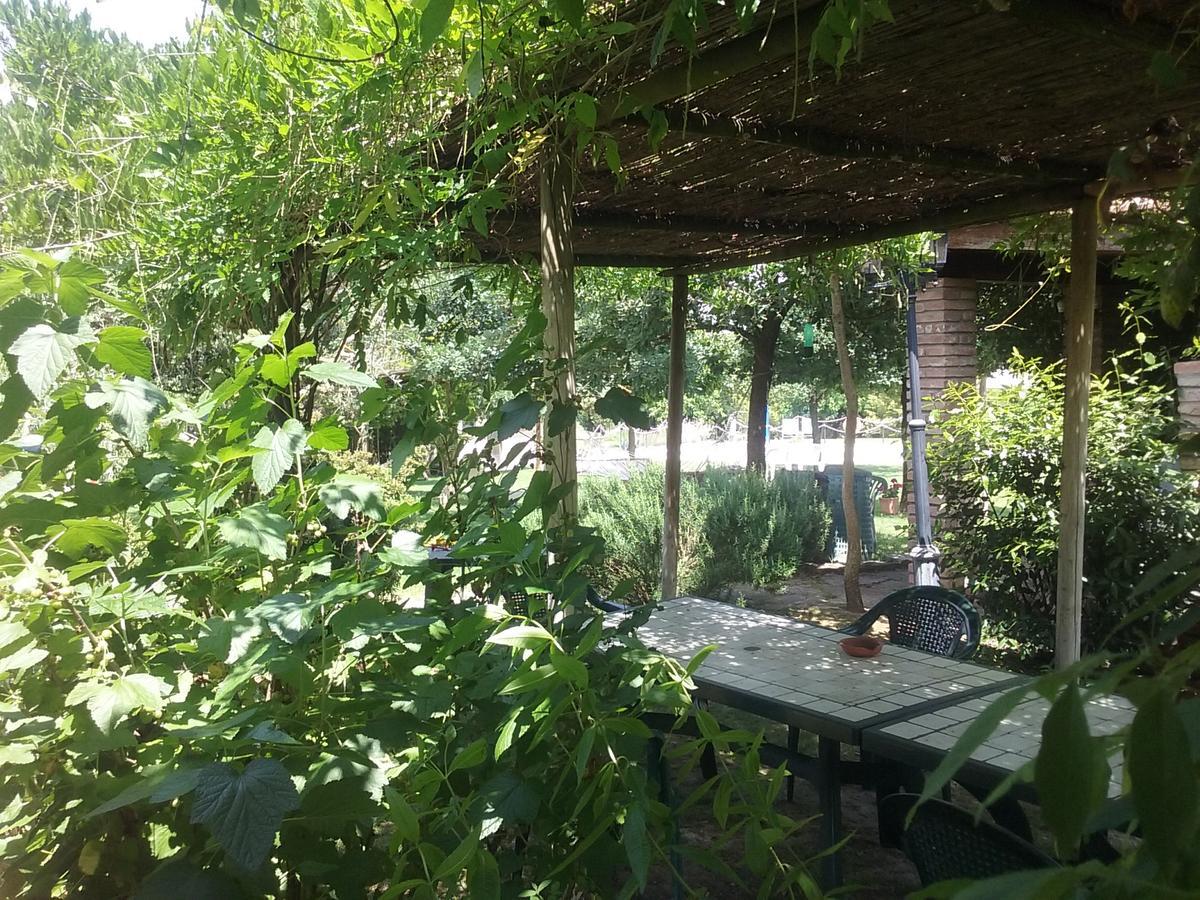 Agriturismo Dolce Verde Castiglione del Lago Εξωτερικό φωτογραφία