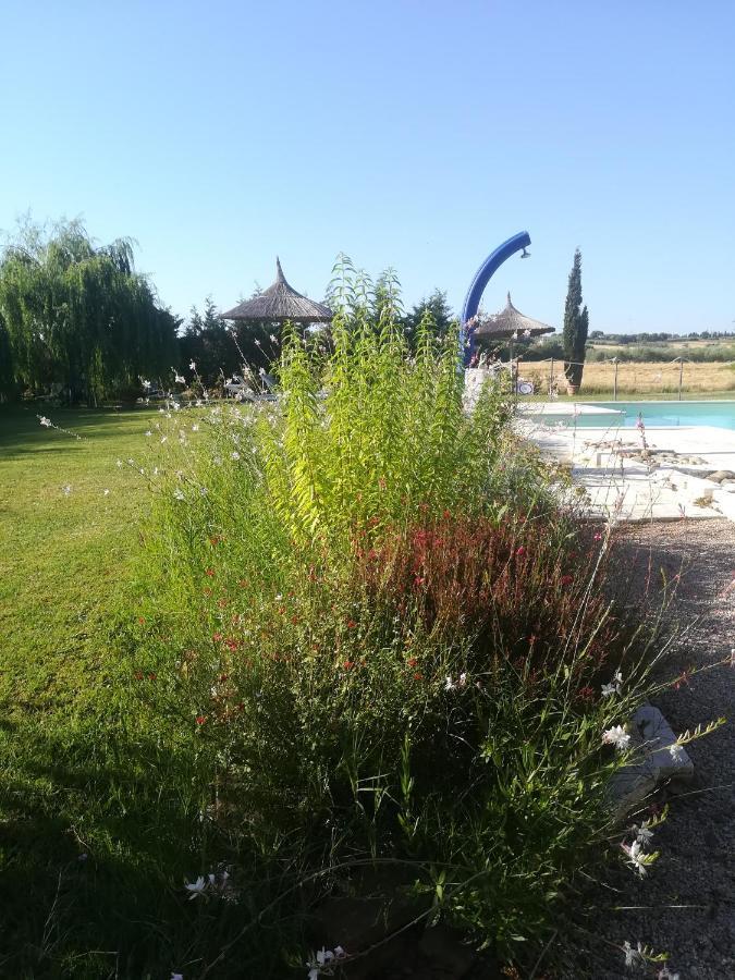 Agriturismo Dolce Verde Castiglione del Lago Εξωτερικό φωτογραφία